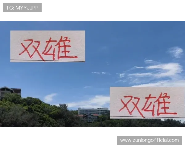 尊龙游戏旗舰厅官网入口:全面解析官方入口的安全保障措施 尊龙游戏旗舰厅官网入口:全面解析官方入口的安全保障措施