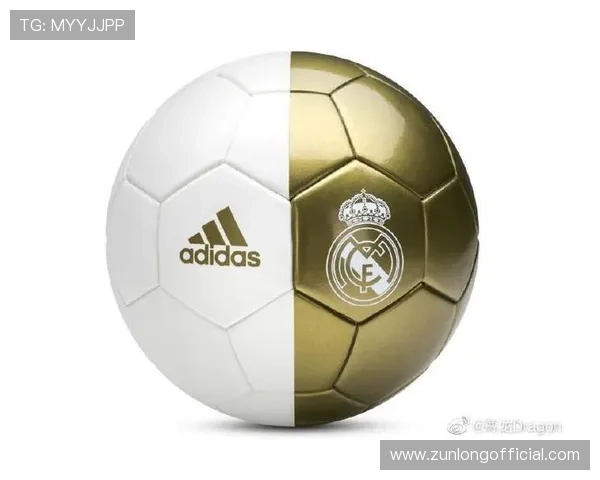 尊龙体育下载官网网址提供最全的官方入口确保玩家安全畅享体育赛事体验