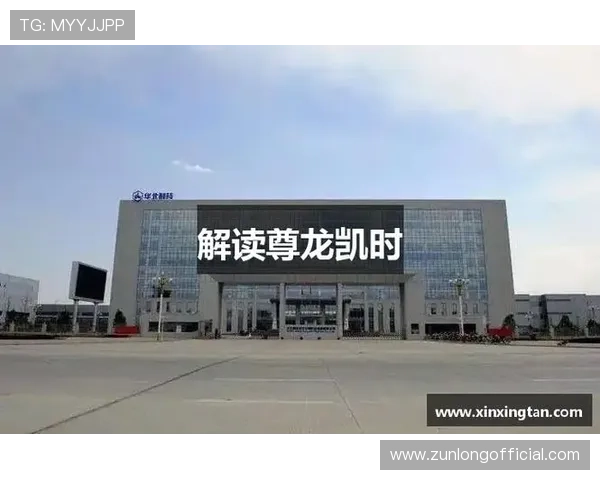 尊龙凯时网站安全支付方式介绍，保障玩家资金安全与交易顺畅的多重保障措施