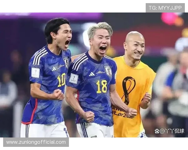 世界杯日本对阵瑞典历史比赛比分详细回顾与分析